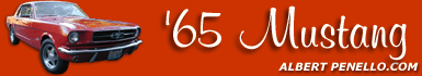 RETURN TO THE HOME PAGE